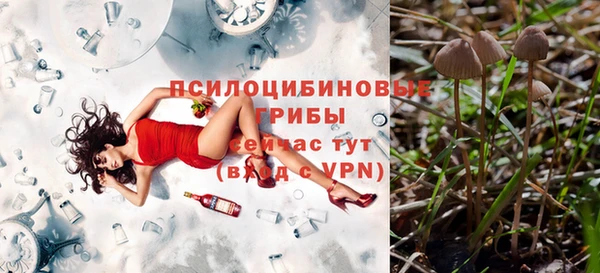 бошки Каменск-Шахтинский