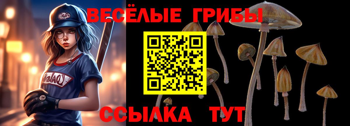 Галлюциногенные грибы GOLDEN TEACHER  Галлюциногенные грибы ЛСД  Москва 